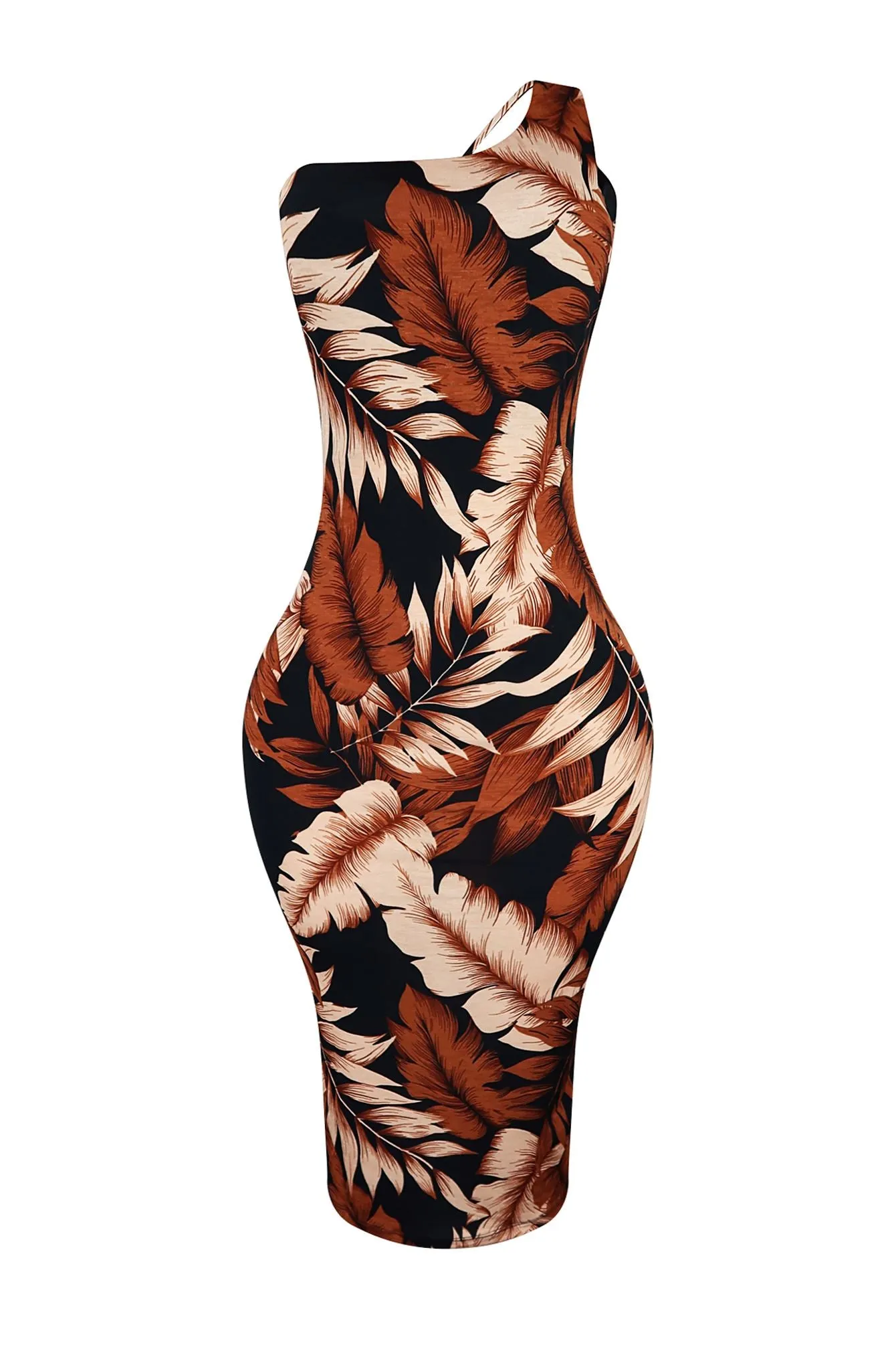 Budapest Print Midi Dress